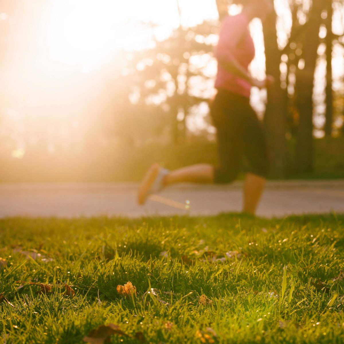 Pexels jan walter luigi 333888662 16961403